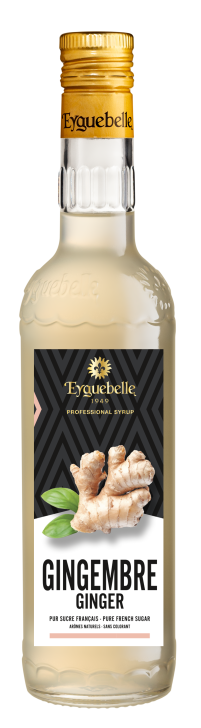 Sirop Gingembre "Spécial Bar"