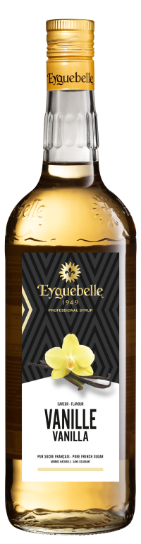 Vanilla Flavour Professional Syrup