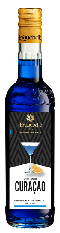 Curacao Flavour Professional Syrup