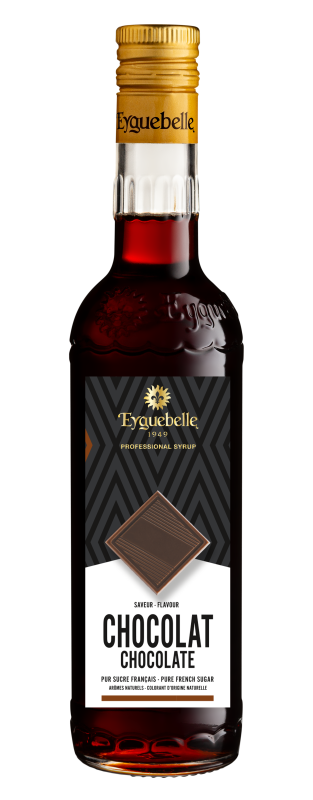 Chocolate Flavour Professional Syrup