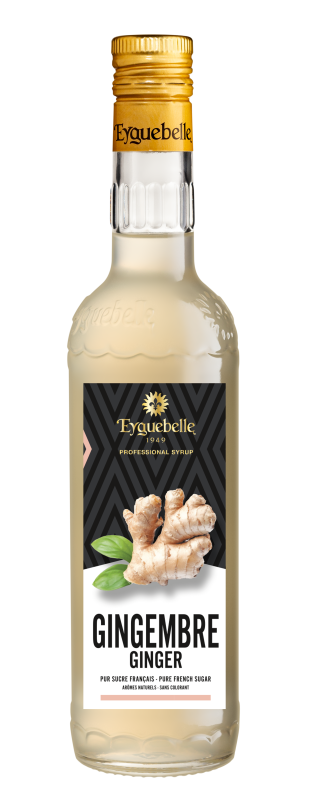 Professional Ginger Syrup