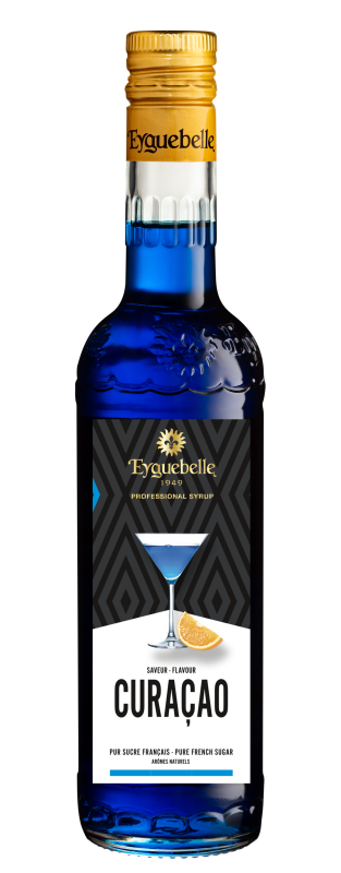 Curacao Flavour Professional Syrup