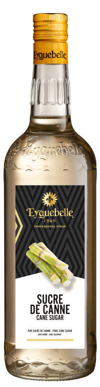 Sirop Sucre de canne "Spécial Bar"