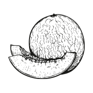 melon