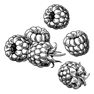 raspberry