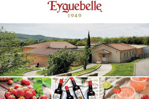 Eyguebelle Syrups - Drôme Provençale