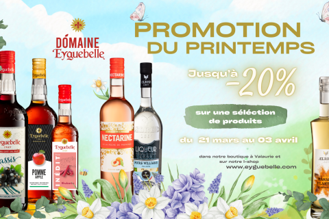 Spring promotions from 21 March to 03 April 2025