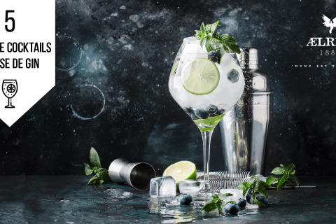 5 Gin Fieldfare cocktails
