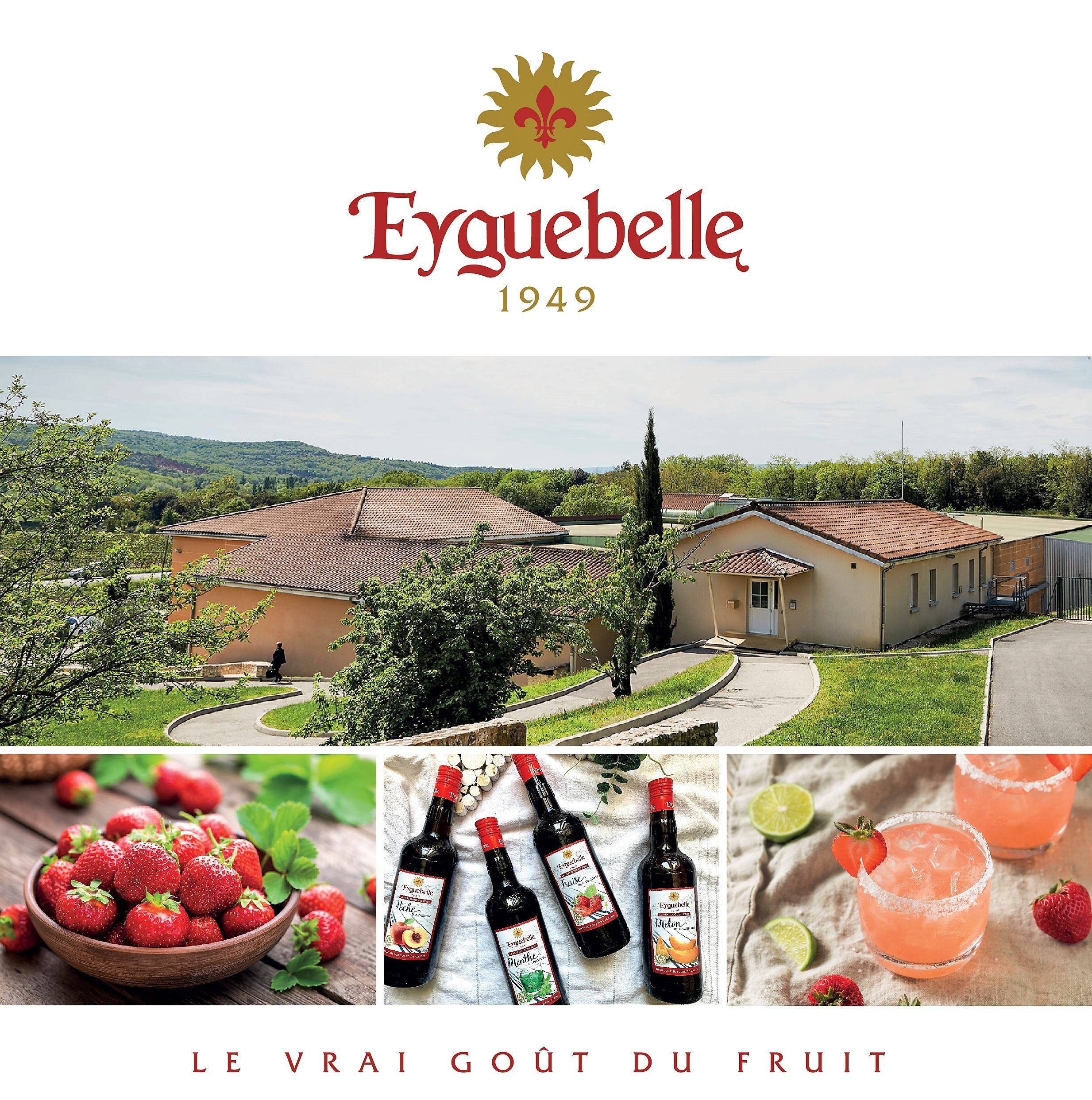Eyguebelle Syrups - Drôme Provençale