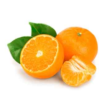 Fruits